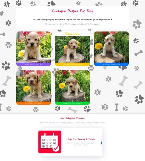 My Cockapoo Breeder Website Design 1